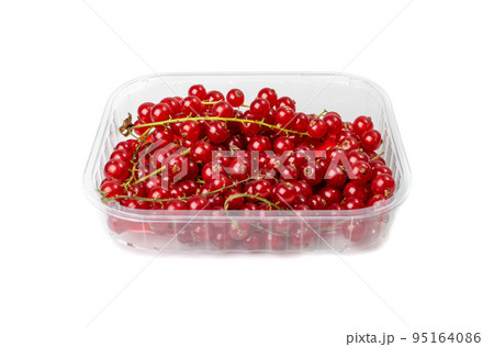 Red Currant Packaging Isolated 95164086