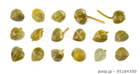 Pickled Capers Isolated. Marinated Caper Buds, Small Salted Capparis 95164300