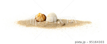 Seashells in Sand Pile Isolated 95164303