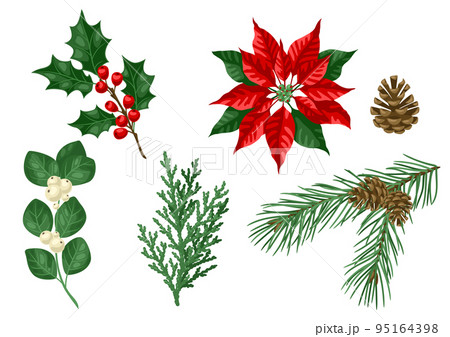 Set of winter plants. Merry Christmas and Happy New Year decoration. Holiday design. 95164398