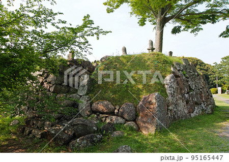 佐賀県/ 名護屋城（名護屋城跡） 95165447