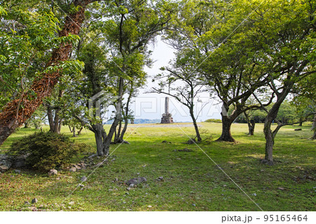 佐賀県/ 名護屋城(名護屋城跡)本丸付近 佐賀県/ 名護屋城(名護屋城跡)本丸付近 95165464