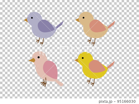 カラフルでかわいい小鳥のイラストセット カラフルでかわいい小鳥のイラストセット 95166030