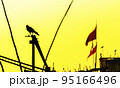 Silhouette of a crow 95166496