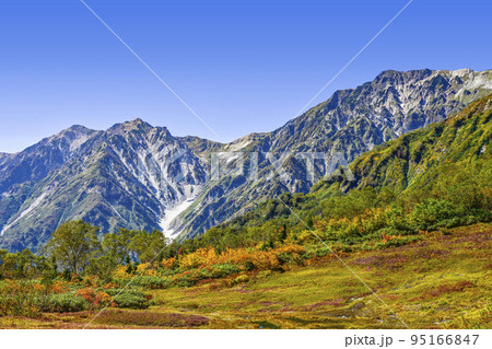 秋の色づきが始まった栂池自然園、展望湿原からの眺め 95166847