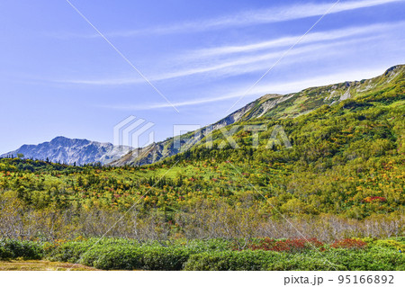 秋の色づきが始まった栂池自然園、浮島湿原からの眺め 95166892