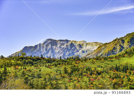 秋の色づきが始まった栂池自然園、浮島湿原からの眺め 秋の色づきが始まった栂池自然園、浮島湿原からの眺め 95166893