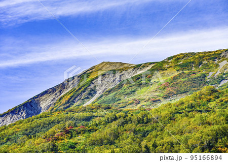 秋の色づきが始まった栂池自然園、浮島湿原からの眺め 秋の色づきが始まった栂池自然園、浮島湿原からの眺め 95166894