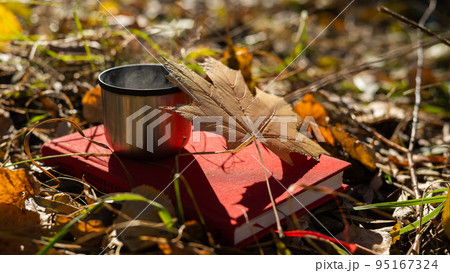 Thermos of hot tea red book and yellow fallen maple leaf in autumn. 95167324