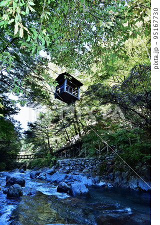 野猿 野猿 95167730