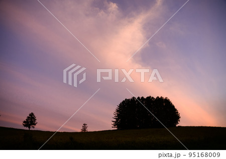 夏の夕暮れのマイルドセブンの丘 95168009