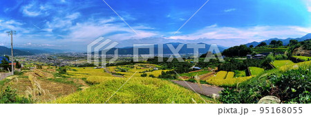 姨捨棚田の秋 姨捨棚田の秋 95168055