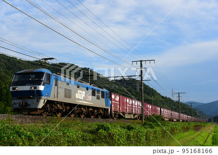 JR東海道本線を走行するコンテナ貨物列車 95168166