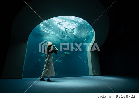 水族館 95168722