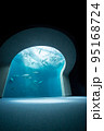 水族館 95168724