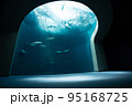 水族館 95168725
