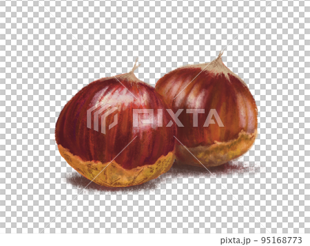 秋の素材、水彩画風手描きの栗の実のイラスト 95168773