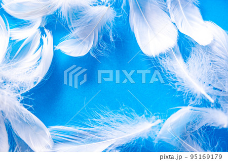 たくさんの羽毛素材 95169179