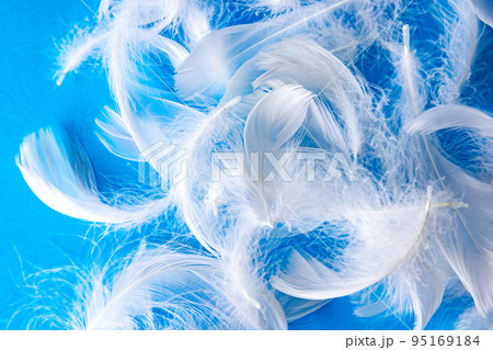 たくさんの羽毛素材 95169184