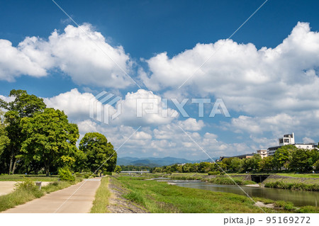 鴨川の水辺の遊歩道 鴨川の水辺の遊歩道 95169272