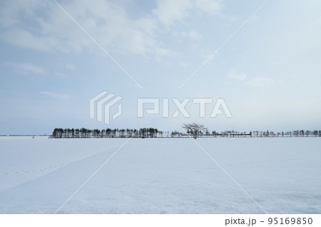 北海道の積した平野の雪景色 95169850