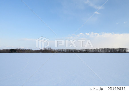 北海道の積した平野の雪景色 95169855