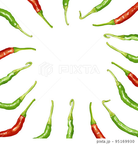 手描き水彩の赤唐辛子と青唐辛子イラスト正方形フレーム・囲み 手描き水彩の赤唐辛子と青唐辛子イラスト正方形フレーム・囲み 95169930