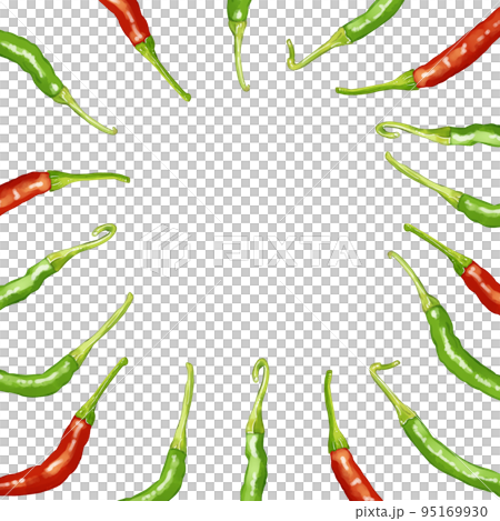 手描き水彩の赤唐辛子と青唐辛子イラスト正方形フレーム・囲み 手描き水彩の赤唐辛子と青唐辛子イラスト正方形フレーム・囲み 95169930