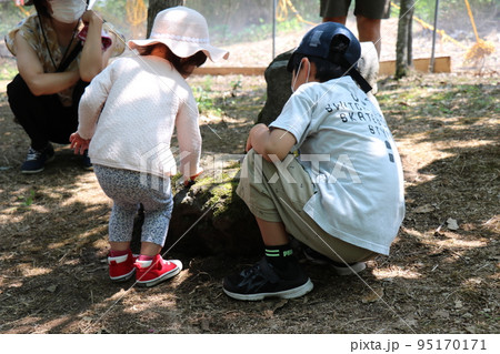 夏のむつみ昆虫王国、八月、カブト虫 95170171