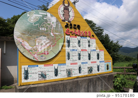 夏のむつみ昆虫王国、八月、カブト虫 95170180