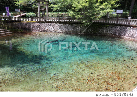 別府弁天池、山口県、美祢市、釣り堀 別府弁天池、山口県、美祢市、釣り堀 95170242