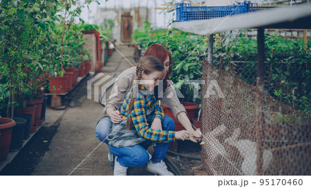 Cheerful young woman and her curious little daughter in aprons are watching caged rabbits on farm. Domestic animals, cheerful people, life and farming concept. Cheerful young woman and her curious little daughter in aprons are watching caged rabbits on farm. Domestic animals, cheerful people, life and farming concept. 95170460