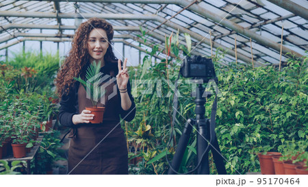 Young pretty woman owner of hothouse is recording video about gardening for her videoblog standing in greenhouse and holding pot flowers. People and botany concept. Young pretty woman owner of hothouse is recording video about gardening for her videoblog standing in greenhouse and holding pot flowers. People and botany concept. 95170464