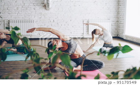 Flexible attractive young women are doing seated side bends from easy lotus position. Complex of stretching asanas diring group yoga practice concept. Studio is light and spacious. 95170549