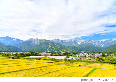 五竜岳～唐松岳～八方尾根／白馬岳(白馬三山)方面を望む(長野県白馬村)【2022.9】 95170717
