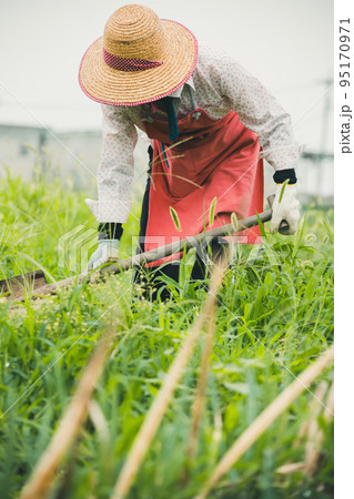 Agriculture 95170971