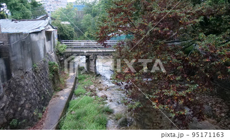 近所 貞陵 河川 95171163