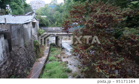 近所 貞陵 河川 95171164