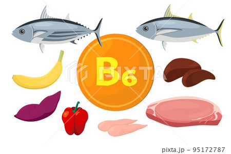 ビタミン B6 を含む食品のベクター イラスト。 95172787