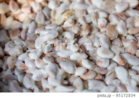 Fresh raw cocoa pod seed 95172834