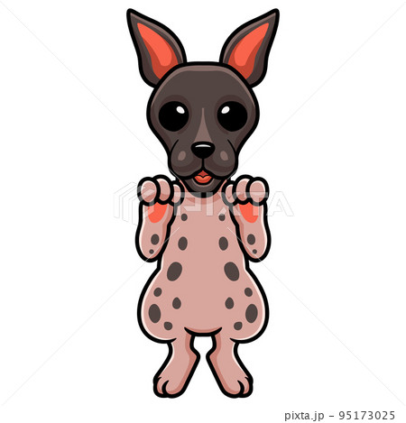 Cute american hairless terrier cartoon Cute american hairless terrier cartoon 95173025