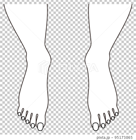 Feet of a beautiful barefoot woman's toes illustration vector 95173865