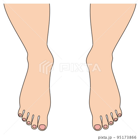 綺麗な裸足の人の足元 男性の足の指 イラスト ベクター 綺麗な裸足の人の足元 男性の足の指 イラスト ベクター 95173866