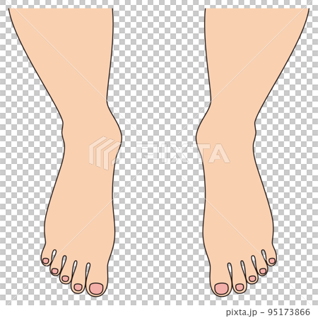 Feet of a beautiful barefoot man's toes illustration vector 95173866