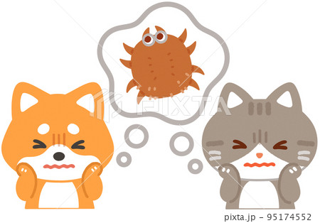 ダニに怯える犬と猫 ダニに怯える犬と猫 95174552