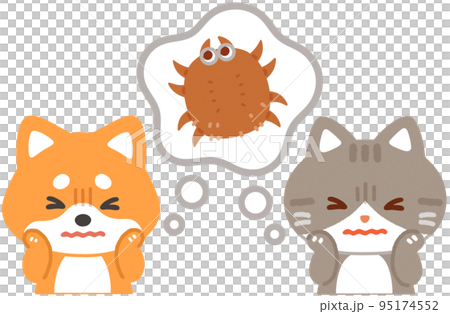 被蜱蟲嚇到的狗和貓 95174552