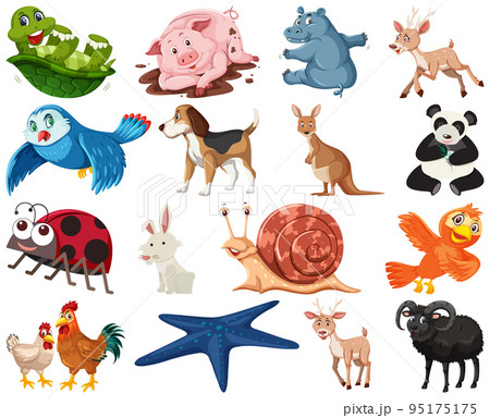 Set of various animals cartoon Set of various animals cartoon 95175175
