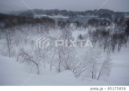 雪降る冬の朝 雪降る冬の朝 95175858