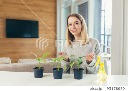 Young beautiful woman at home takes care of houseplants, sprays, sits at the table, grows plants at home, hobbies 95178020