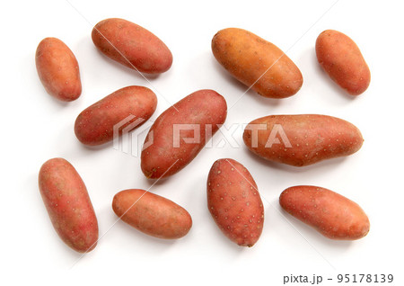 シェリー 95178139